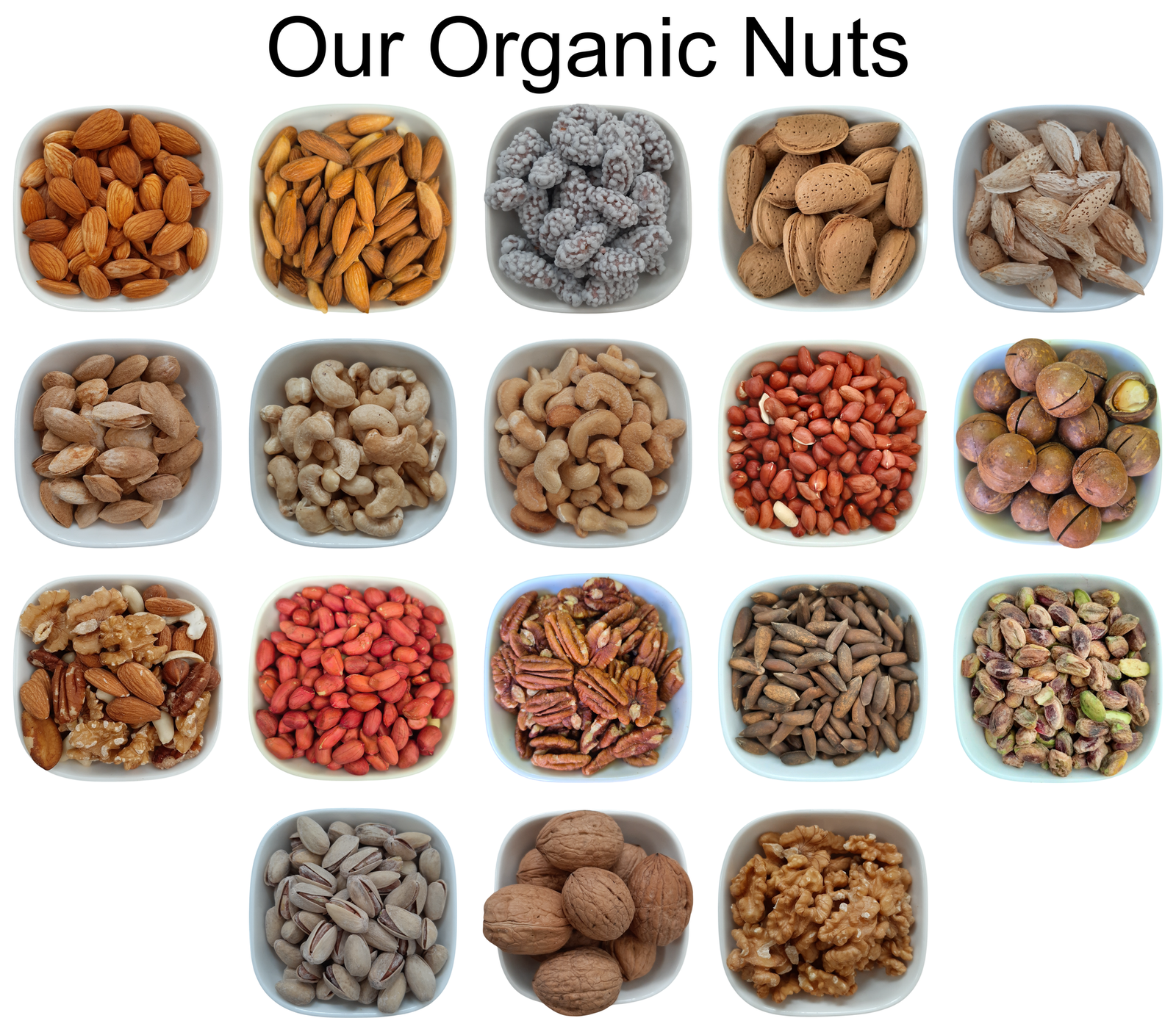 Pumpkin Seeds – Natural Organic Premium-quality + Free sample!